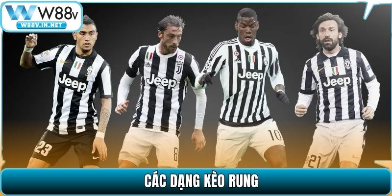 Các dạng kèo rung