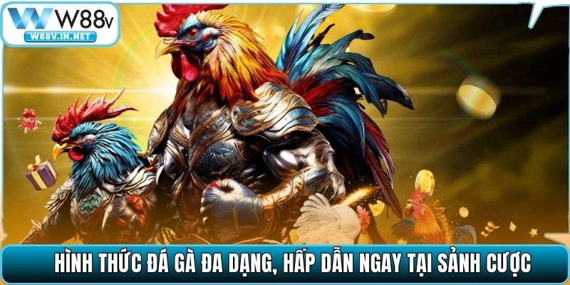 Hình thức đá gà đa dạng, hấp dẫn ngay tại sảnh cược