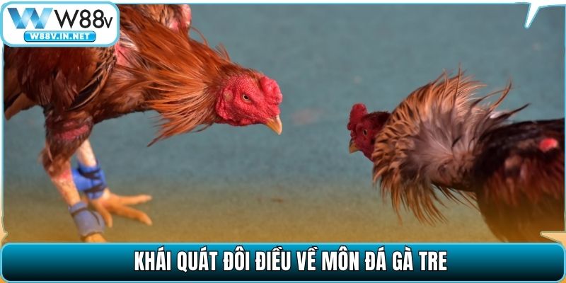 Khái quát đôi điều về môn đá gà tre