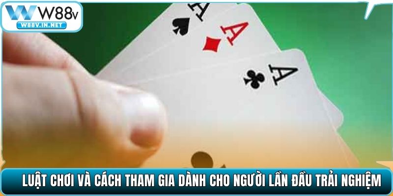 Luật chơi và cách tham gia dành cho người lần đầu trải nghiệm