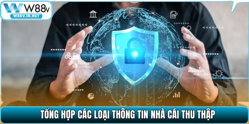 Tổng hợp các loại thông tin nhà cái thu thập